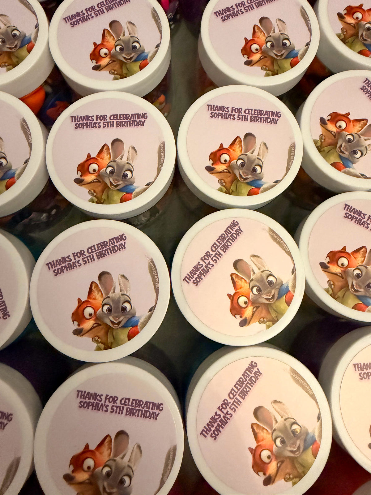 Zootopia Signature Little World